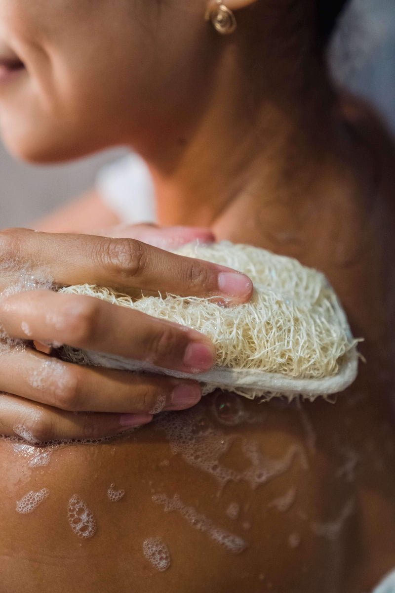 Sea Sponge - hand harvested – Carolina Shores Natural Soap